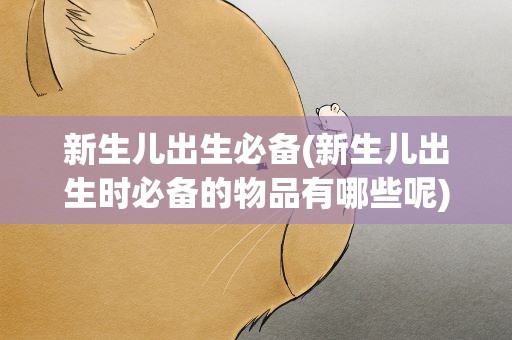 新生儿出生必备(新生儿出生时必备的物品有哪些呢)
