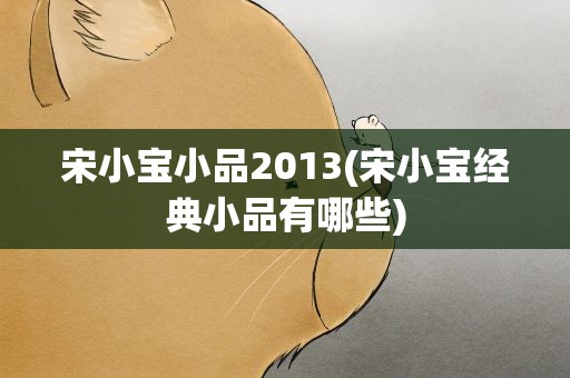 宋小宝小品2013(宋小宝经典小品有哪些)