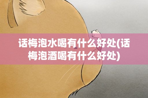 话梅泡水喝有什么好处(话梅泡酒喝有什么好处)
