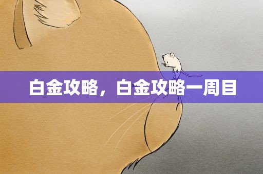 白金攻略，白金攻略一周目