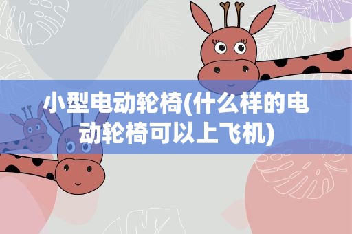 小型电动轮椅(什么样的电动轮椅可以上飞机)