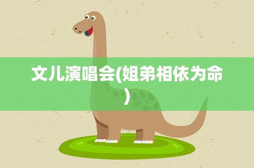 文儿演唱会(姐弟相依为命)