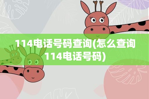 114电话号码查询(怎么查询114电话号码)