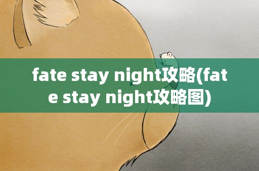 fate stay night攻略(fate stay night攻略图)