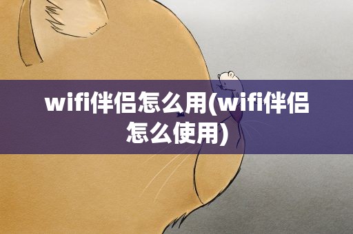 wifi伴侣怎么用(wifi伴侣怎么使用)