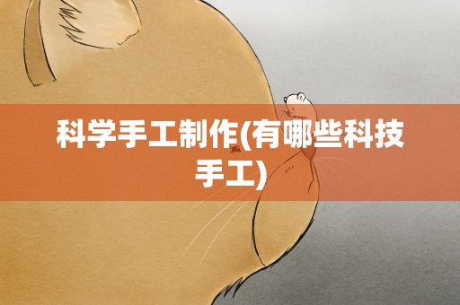 科学手工制作(有哪些科技手工)