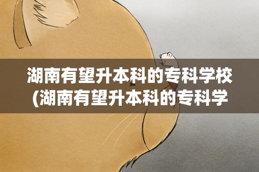 湖南有望升本科的专科学校(湖南有望升本科的专科学校吗)