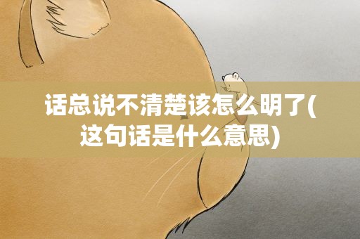 话总说不清楚该怎么明了(这句话是什么意思)