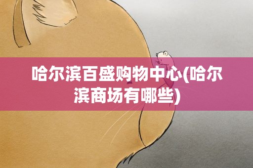 哈尔滨百盛购物中心(哈尔滨商场有哪些)