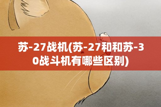 苏-27战机(苏-27和和苏-30战斗机有哪些区别)