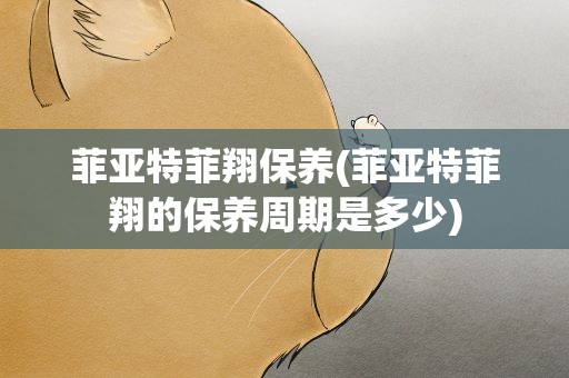 菲亚特菲翔保养(菲亚特菲翔的保养周期是多少)