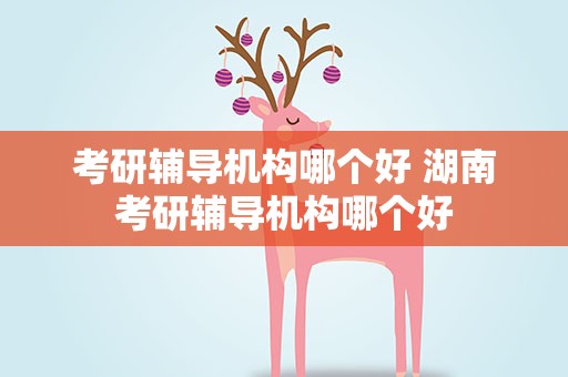考研辅导机构哪个好 湖南考研辅导机构哪个好