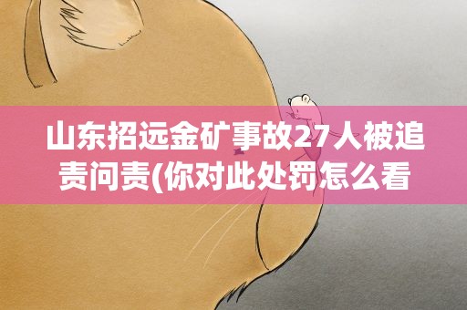 山东招远金矿事故27人被追责问责(你对此处罚怎么看)