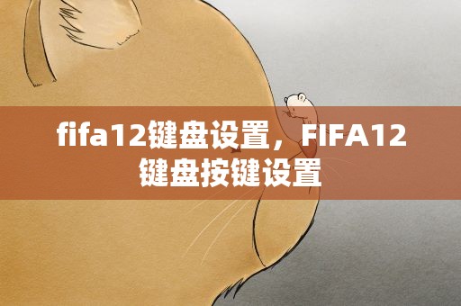 fifa12键盘设置，FIFA12键盘按键设置