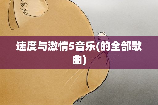 速度与激情5音乐(的全部歌曲)