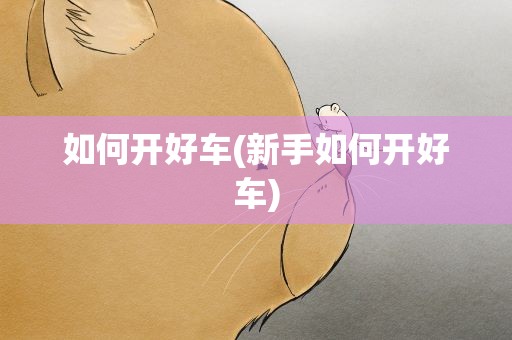 如何开好车(新手如何开好车)