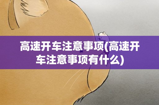 高速开车注意事项(高速开车注意事项有什么)
