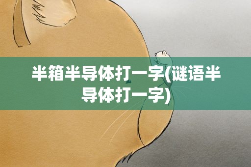 半箱半导体打一字(谜语半导体打一字)