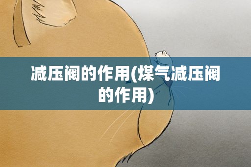 减压阀的作用(煤气减压阀的作用)