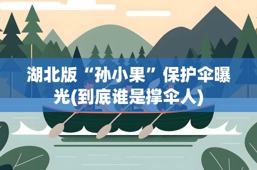 湖北版“孙小果”保护伞曝光(到底谁是撑伞人)