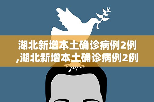 湖北新增本土确诊病例2例,湖北新增本土确诊病例2例一
