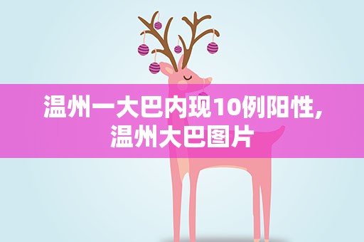 温州一大巴内现10例阳性,温州大巴图片