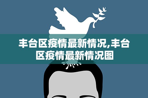 丰台区疫情最新情况,丰台区疫情最新情况图