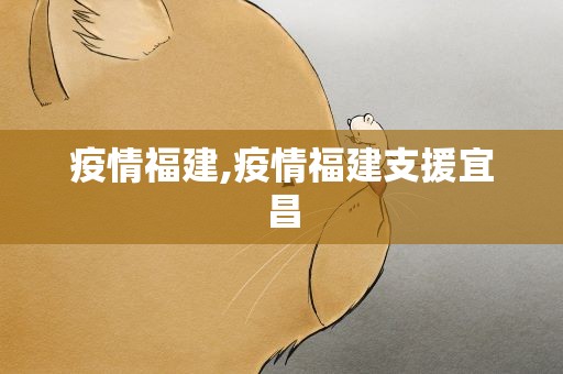 疫情福建,疫情福建支援宜昌