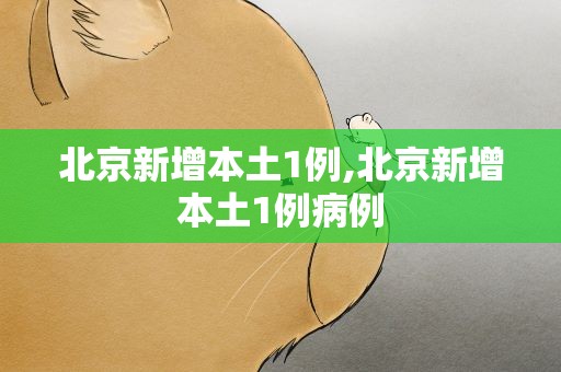 北京新增本土1例,北京新增本土1例病例