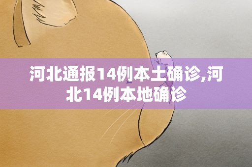 河北通报14例本土确诊,河北14例本地确诊