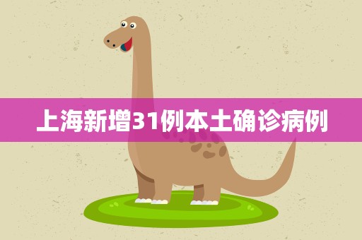上海新增31例本土确诊病例