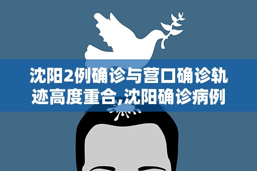 沈阳2例确诊与营口确诊轨迹高度重合,沈阳确诊病例营口轨迹