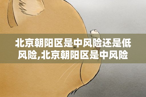 北京朝阳区是中风险还是低风险,北京朝阳区是中风险还是低风险地区
