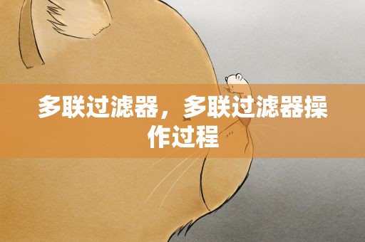 多联过滤器，多联过滤器操作过程