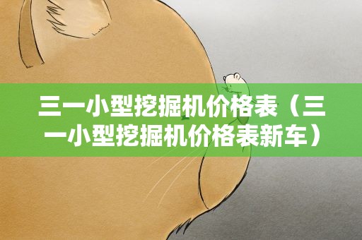 三一小型挖掘机价格表（三一小型挖掘机价格表新车）