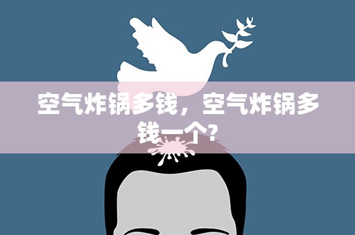 空气炸锅多钱，空气炸锅多钱一个?