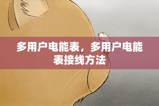 多用户电能表，多用户电能表接线方法