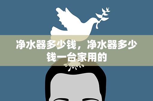 净水器多少钱，净水器多少钱一台家用的