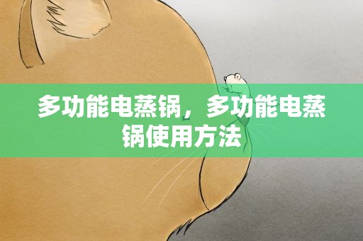 多功能电蒸锅，多功能电蒸锅使用方法