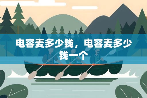 电容麦多少钱，电容麦多少钱一个