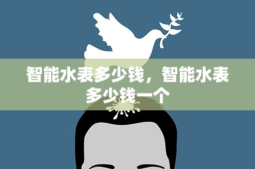 智能水表多少钱，智能水表多少钱一个