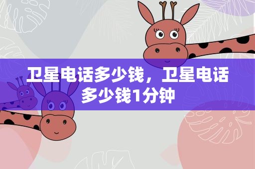 卫星电话多少钱，卫星电话多少钱1分钟