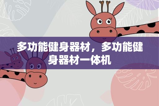 多功能健身器材，多功能健身器材一体机