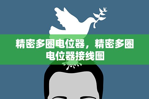 精密多圈电位器，精密多圈电位器接线图