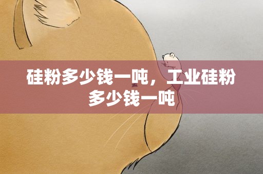 硅粉多少钱一吨，工业硅粉多少钱一吨