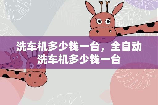 洗车机多少钱一台，全自动洗车机多少钱一台