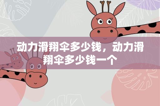 动力滑翔伞多少钱，动力滑翔伞多少钱一个