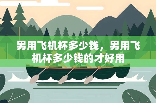 男用飞机杯多少钱，男用飞机杯多少钱的才好用
