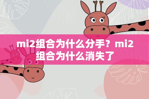 mi2组合为什么分手？mi2组合为什么消失了