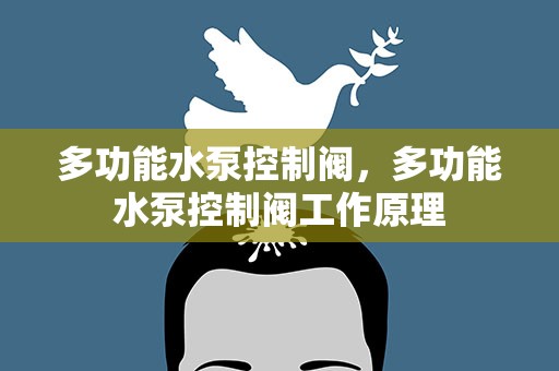 多功能水泵控制阀，多功能水泵控制阀工作原理